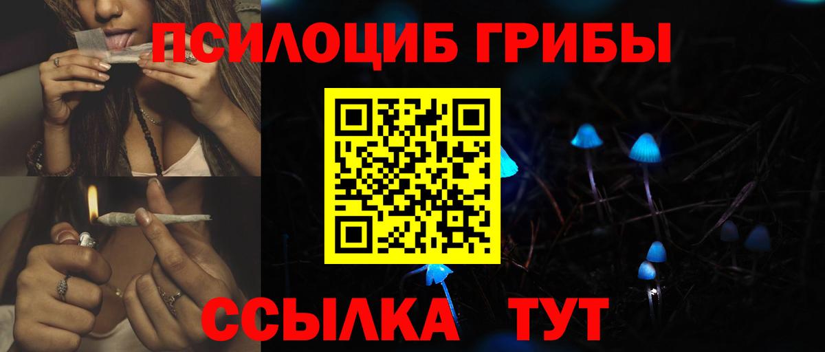 Галлюциногенные грибы Magic Shrooms  Вход с VPN  хочу   Чистополь 